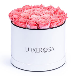White Background Product Photography Specialist London, Birmingham, Leicester, Nottingham, Derby, product photographer studio