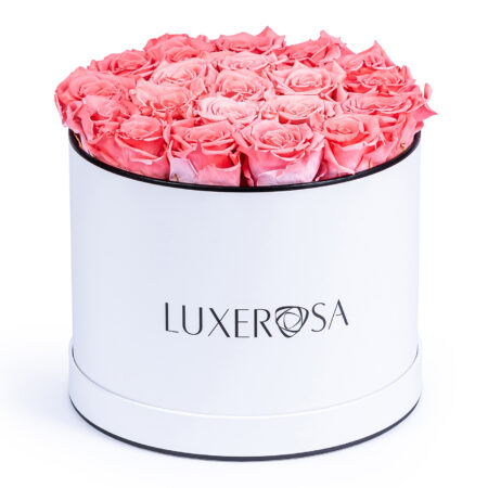 Ecommerce Product Photography Specialist London, Birmingham, Leicester, Nottingham, Derby, product photographer studio