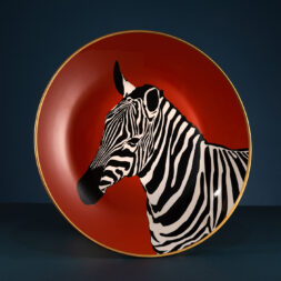 Amazon Product Photography Specialist London, Birmingham, Leicester, Nottingham, Derby